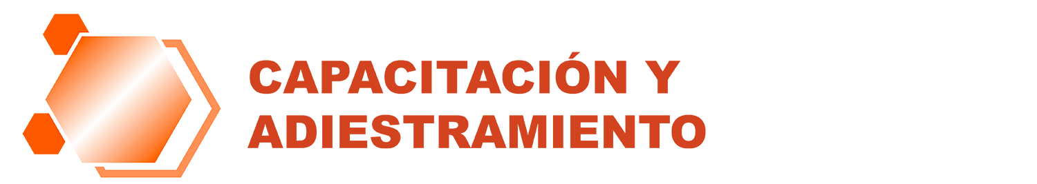 consultoresleo.com.mx